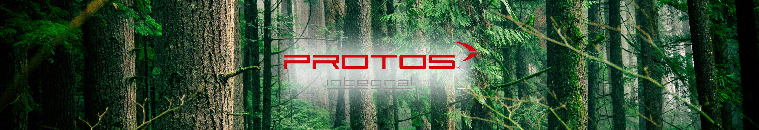 Pflanzenwuchs, Regenwald, Grün, Dschungel, Hain